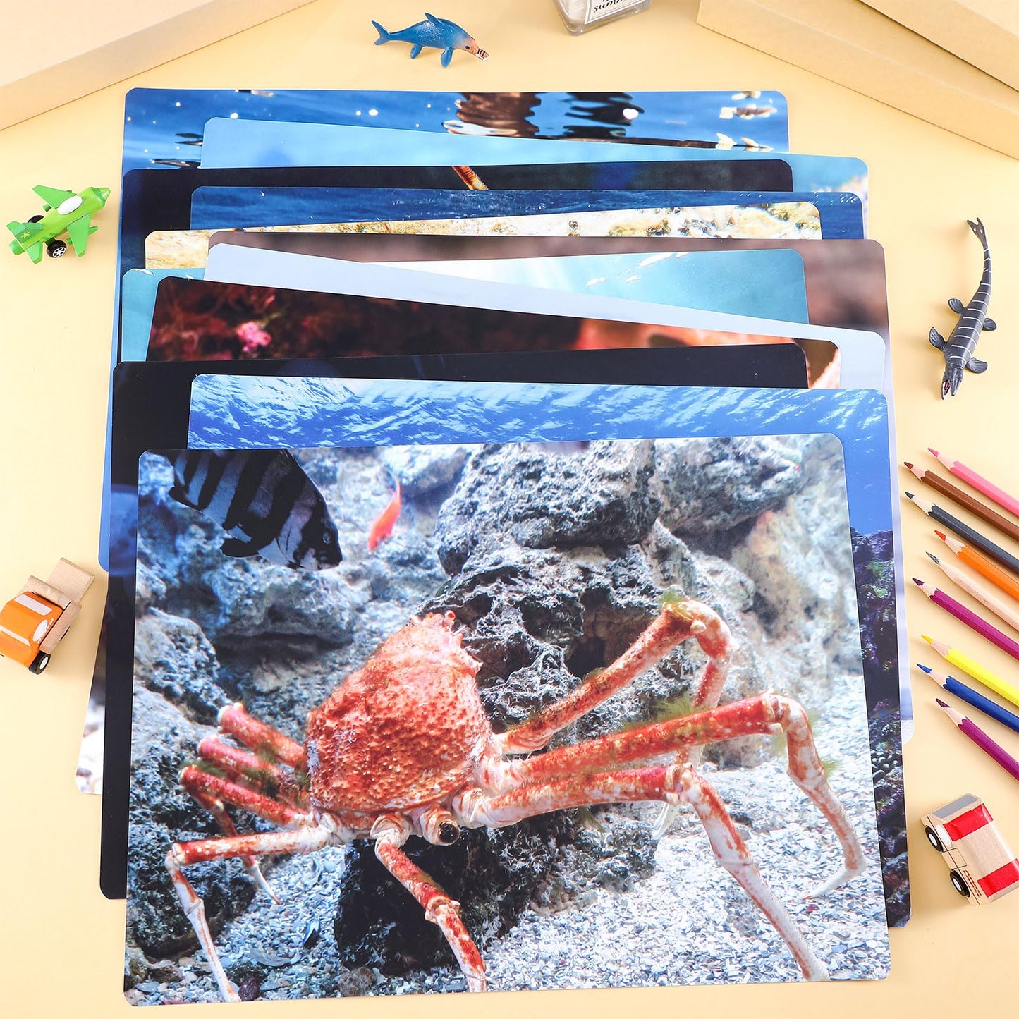 Motiskyy 12 Pcs Diversity Posters for Classroom Preschool Educational Learning Real Pictures for Daycare Home Multicultural Awareness(Ocean Animals)