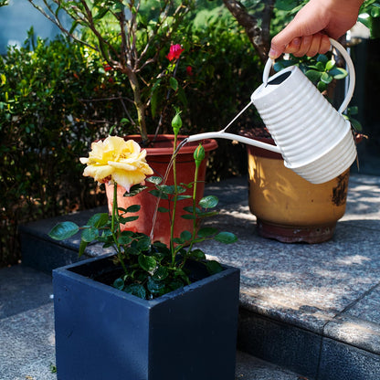 HORTICAN Small Watering Can, Matte Cream White, 34oz., Metal Watering Can with Long Spout, Nice Indoor Water Can, Plant Water Can for Indoor Plants