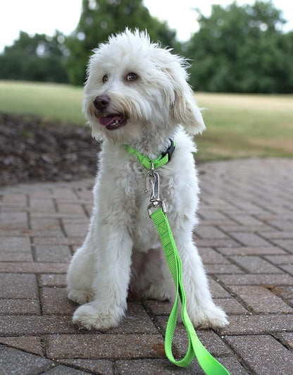 Country Brook Petz - Everyday Nylon Dog Collar and Leash - 10+ Cool Colors (3/4 Inch, Medium, Hot Lime Green)