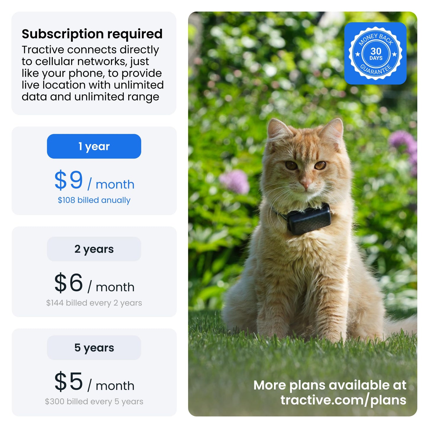Tractive Smart Cat GPS Tracker | Real-Time Location & Wellness Monitoring for Cats 6.5 lbs+ | Territory & Location History | Up to 5-Day Battery | Breakaway Collar Included (Mint)