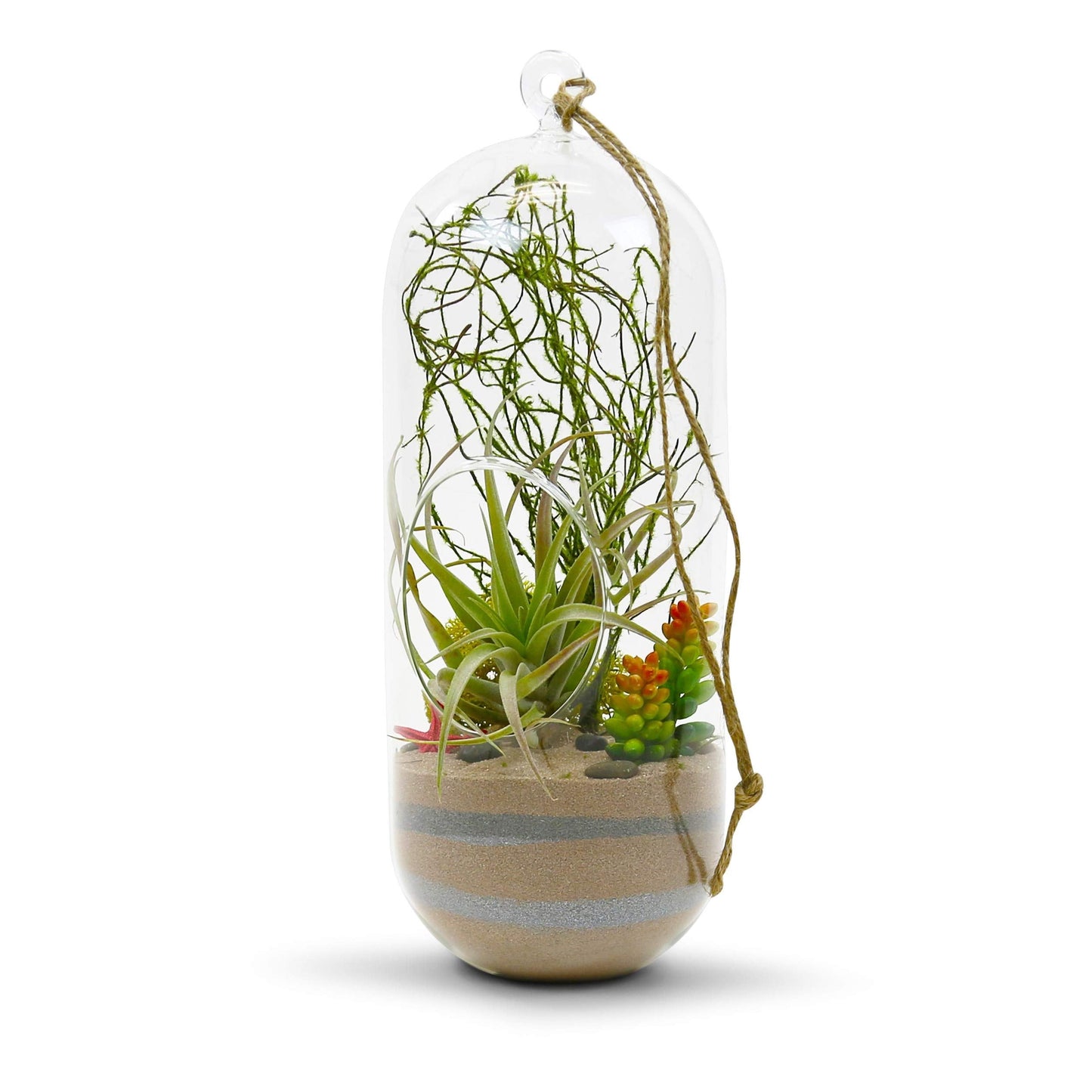 WGV Hanging Glass Plant Terrarium, Width 5", Height 12", Lantern DIY Air Succulent Planter Clear Tea Light Votive Candle Holder, Wedding Event Office Home Outdoor Decor, 1 Piece