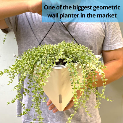 LaLaGreen Bundle- 2 Pack, 12 Inch White Geometric Self Watering Pot + 4 Pack, 20 Inch Rectangular Planter Box Hanging Stylish Modern Wall Mount Flower Succulent Vase Holder Balcony Porch Indoor Decor