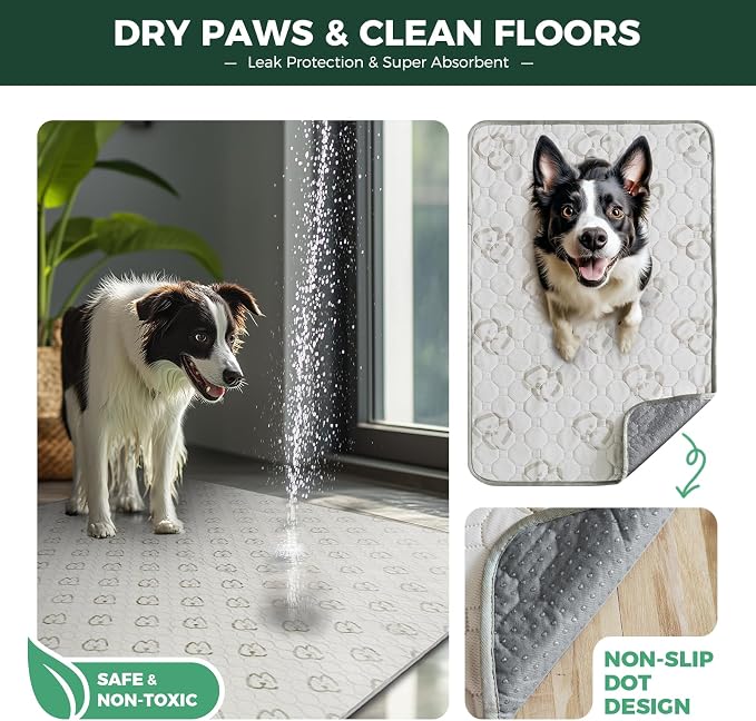 FXW Washable Pee Pads for Dogs, Leak-Proof & Non-Slip, Specifically Designed for Potty Training, Square, 39" x 39", 2 Packs