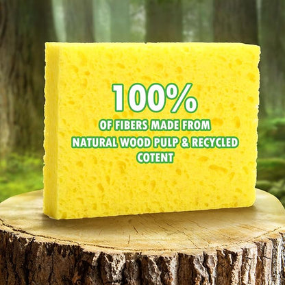 Compressed Natural Cellulose Sponges 24 Pack Regular Size Multicolor Soft Reusable Non-Scratch Long-Lasting Basics Dish Washing Sponges for Kitchen Cookware and Bathroom, DIY Cuts-Out for Fun