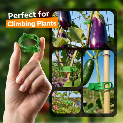100pcs Tomato Clips for Climbing plants, Plastic Trellis Plant Support Clips for Garden, Reusable Clips for Supporting Grape Tomato Vine and Vegetables Plants to Grow Upright Makes Plants Healthier