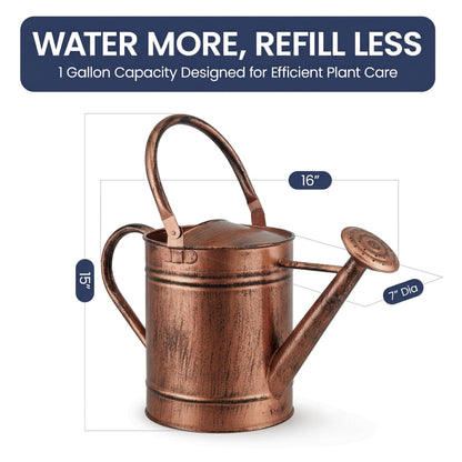 Gardenised 1 Gallon Galvanized Metal Watering Can with Removable Long Spout & Sprinkler Head for Indoor & Outdoor Use Ideal for Garden Flowers Potted Plants Houseplants Modern Home Accessories, Copper