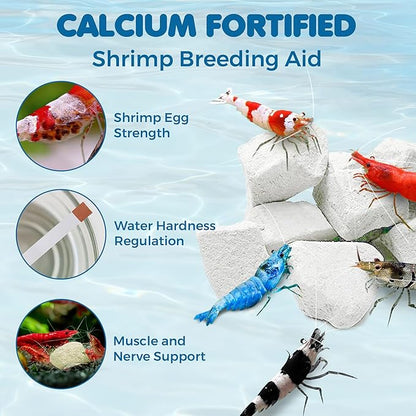 SunGrow Shrimp Rocks for Aquarium, 4-oz. Calcium Stones for Shrimp, Freshwater Aquarium Calcium Rocks for Snails, Recreate Shrimp Habitat, Feeder Discs for Crabs & Crayfish, Snail Tank Accessories