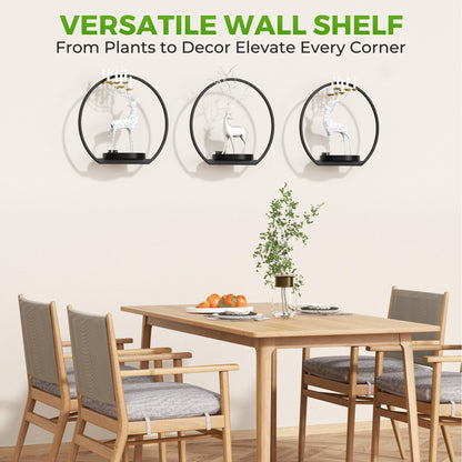 DEMEGA Wall Planters for Indoor Plants,Plant Frames Wall Decor Living Room Plant Stand Hanging Wall Plants Holder to Hold Large Pots Wall Plant Hanger Window Plant Shelves for Outdoor Entryway