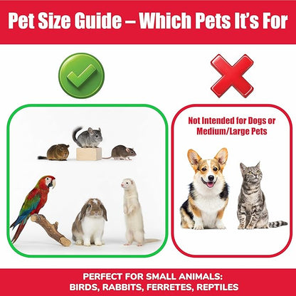 SPOT Stainless Steel Mini Coop Cup with Wire Hooks – 10 oz Small Pet Food & Water Bowl, Rust-Resistant & Easy to Clean, Attaches to Cages for Birds, Parrots, Rabbits, Ferrets, Rats & Small Pets