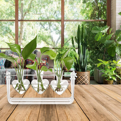 CYZglass Clear Plant Terrarium Propagation Stations with Acrylic Stand Birthday Gifts for Women Office Home Decor
