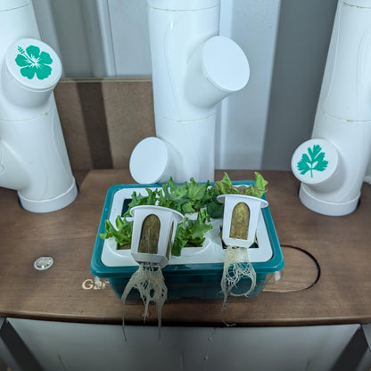 Grow Cubes for Hydroponic System/Grow Cubes Compatible with Gardyn (Seed Starter Nursery)
