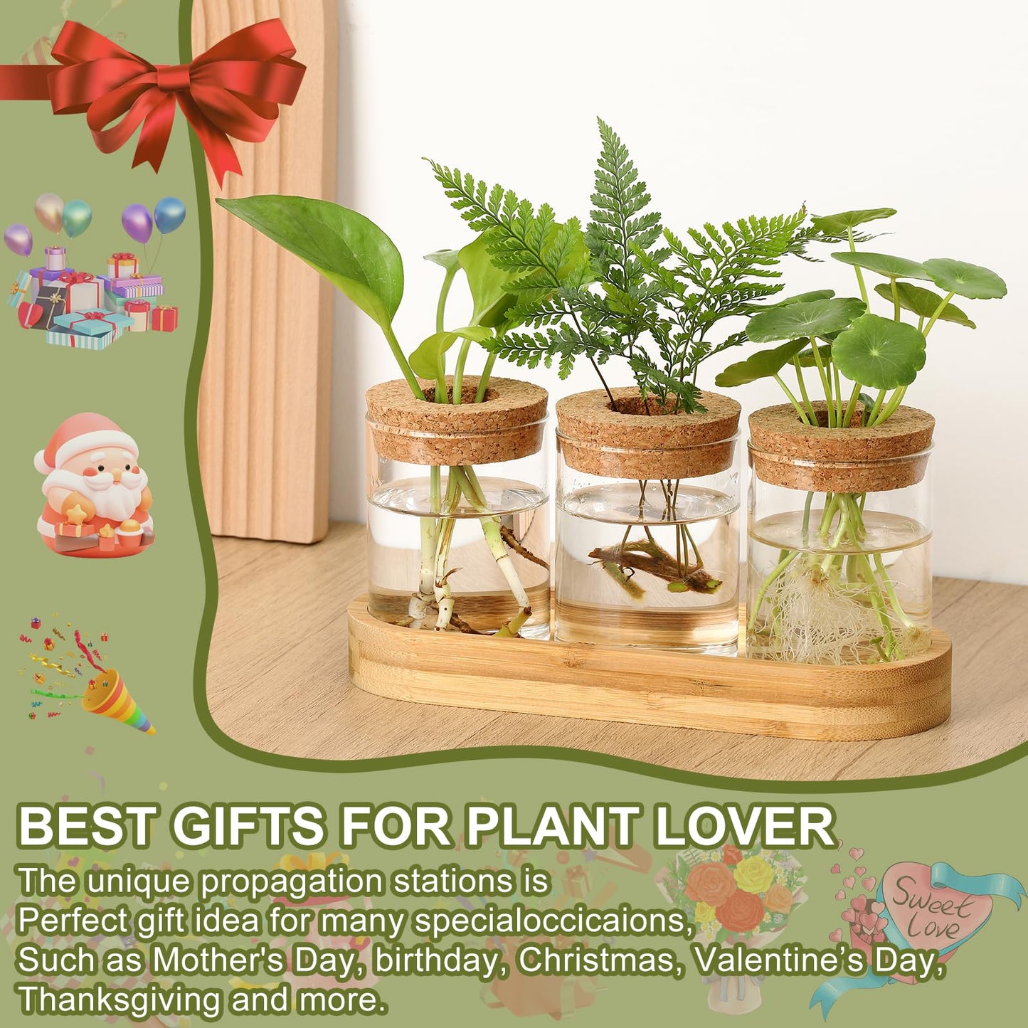 onepeng 3Pcs Propagation Stations, Plant Terrarium with Lid and Wooden Stand,Desktop Glass Planter Hydroponics Vase,Home Office Living Room Decor Gifts