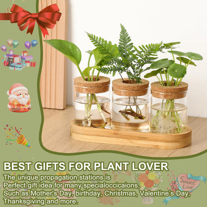 onepeng 3Pcs Propagation Stations, Plant Terrarium with Lid and Wooden Stand,Desktop Glass Planter Hydroponics Vase,Home Office Living Room Decor Gifts