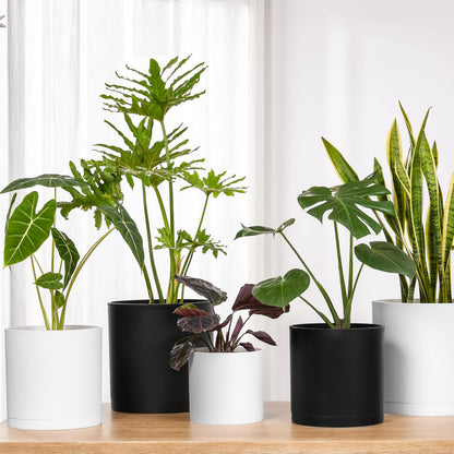 FaithLand 10-Inch Modern Cylinder Planter, Thick-Walled Plastic Plant Pot with Drainage Holes and Detachable Saucer, Matte White, Ideal for Indoor & Outdoor Plants Flowers