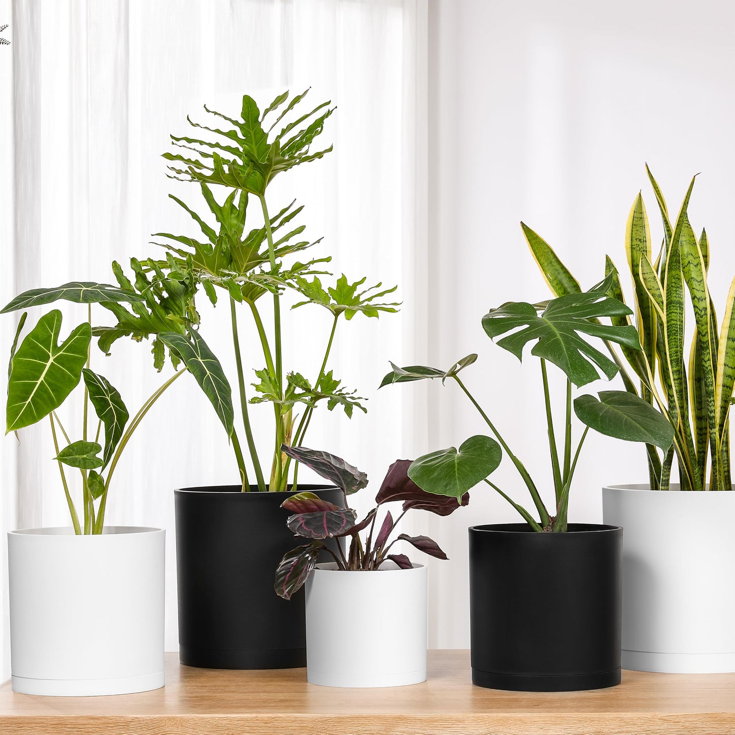 FaithLand 12-Inch Large Modern Cylinder Planter, Thick-Walled Plastic Plant Pot with Drainage Holes and Detachable Saucer, Matte Black, Ideal for Indoor & Outdoor Plants Flowers