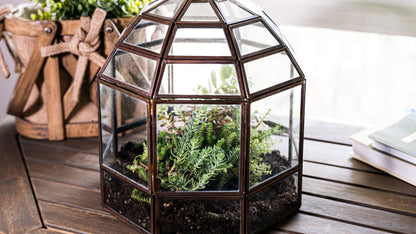 Urban Born Large Terrarium Birdcage, Glass and Metal Indoor Display Case, Unique Gift Idea, Succulent Container, Orchid Planter, Home Decor. (Bronze) 10" x 9"(Diameter)
