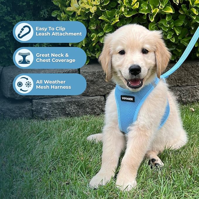 Best Pet Supplies Voyager Step-in Air All Weather Mesh Harness and Reflective Dog 5ft Leash Combo with Neoprene Handle, for Small, Medium and Large Breed Puppies - Baby Blue, X-Large