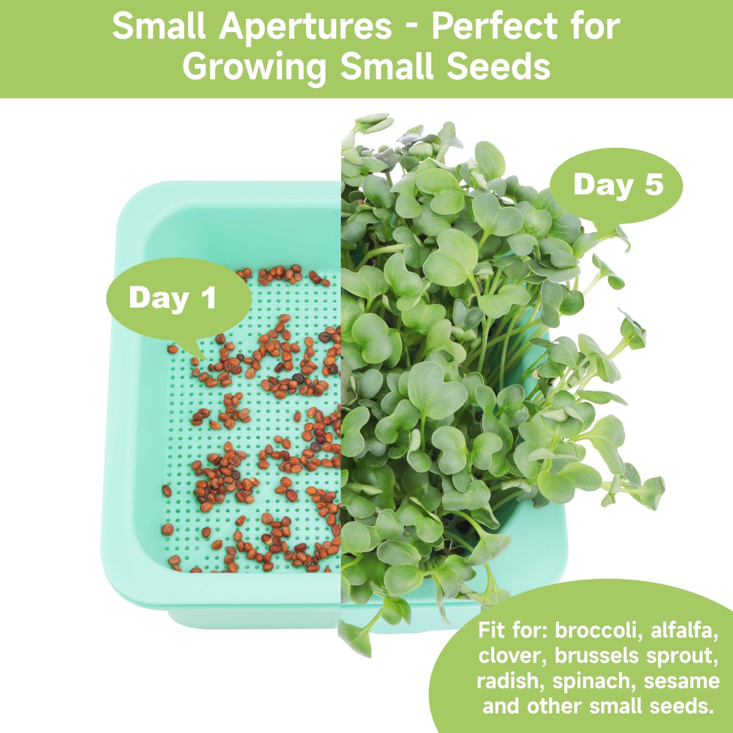 Microgreen Growing Trays, 5" x 5" Sprouting Tray with Humidity Dome, 1.2 mm Small Mesh Holes, BPA Free, Sprouter Kit for Growing Mirco Seeds, Like Broccoli, Alfalfa, Radish, Clover - 4 Pack | Colorful