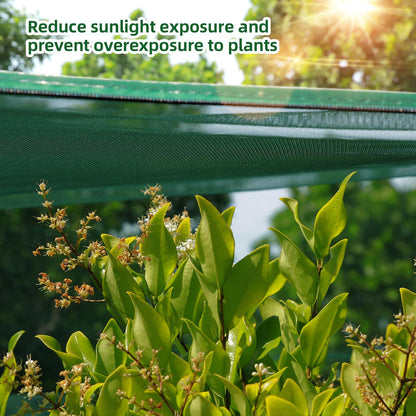 Ohuhu Crop Cages for Garden Plant: 6x3x5 Ft Tent Cage, Plant Netting Cover with Zipper, Garden Bed Cover, Plant Cover from Animal Wind-Resistant Garden Cage for Fruit Vegetable Flower