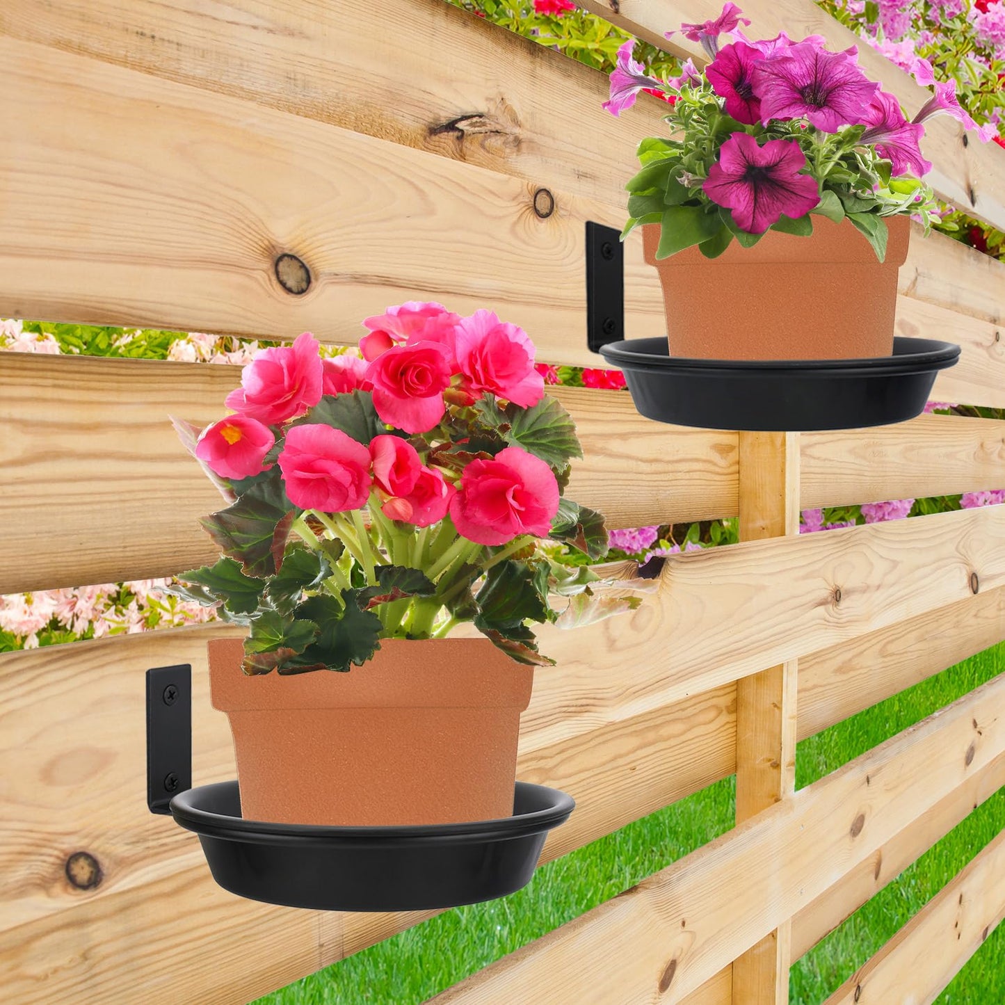 FAHAWEL 6 Inch Wall Mount Plant Holder with Saucer Trays, 6 Pack Heavy Duty Metal Flower Pot Holder Ring Plant Hanger for Wall Indoor, Ring Planter Bracket for Outside Outdoor Bird Feeder Bath