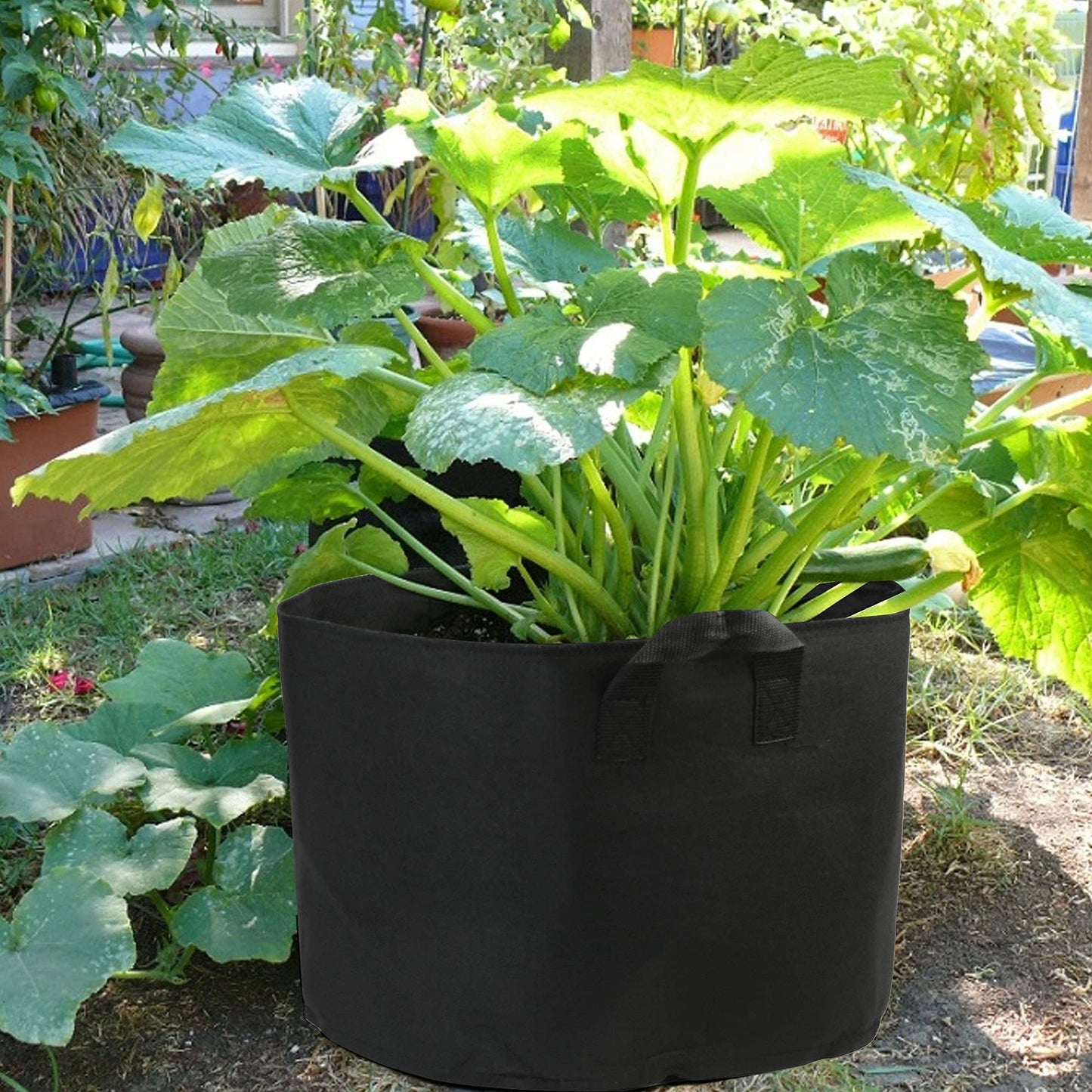 LotFancy 3 Pack 10inch Plant Saucer and 5-Pack 20 Gallon Grow Bags