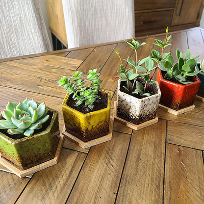 TOPZEA Set of 5 Succulent Planter Pots, 4.2 Inch Hexagon Glazed Ceramic Small Cactus Pot, Geometric Mini Flower Plant Container with Drainage Hole & Bamboo Tray for Home, Office, Windowsill, Desk