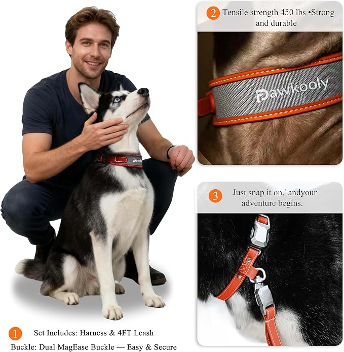 MagEase Dog Collar with 4FT Leash | Adjustable | Anti-Wrinkle, Bite & Stain-Resistant Leather | Soft & Skin-Friendly | 450LB Escape-Proof Magnetic Buckle (Orange, Small)