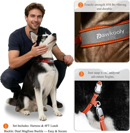 MagEase Dog Collar with 4FT Leash | Adjustable | Anti-Wrinkle, Bite & Stain-Resistant Leather | Soft & Skin-Friendly | 450LB Escape-Proof Magnetic Buckle (Orange, Small)