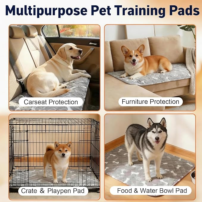 Puppy Pads with Pheromones, Washable Pee Pads for Dogs Potty Training, Reusable Dog Mat with Pet Hair Removal Gloves for Playpen, Crate, Whelping Box (Green,M)