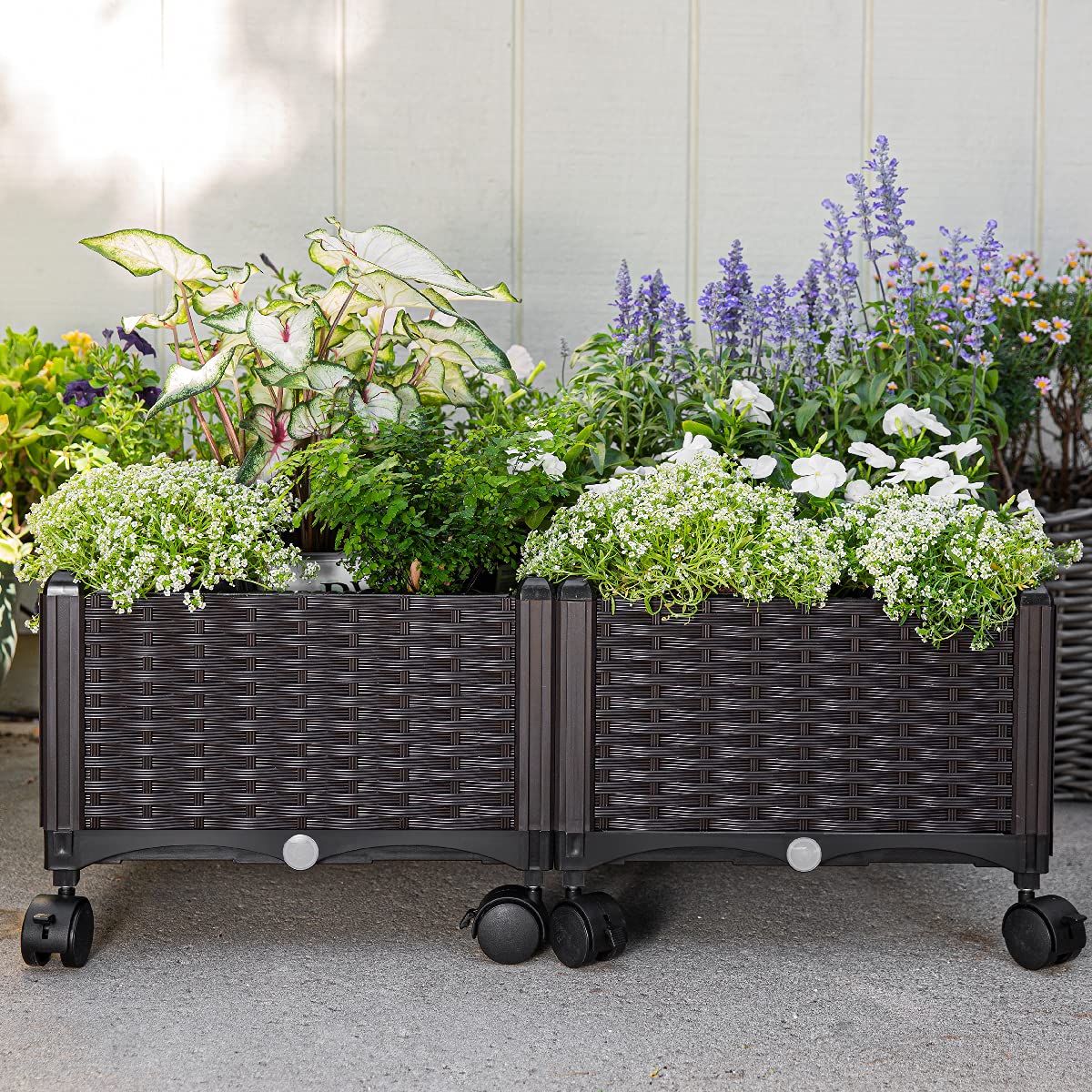 Barton 2 Pieces Rolling Garden Bed Brown Plastic w/Self-Watering Design Outdoor Elevated Planter Box Kit Wheels Mobile
