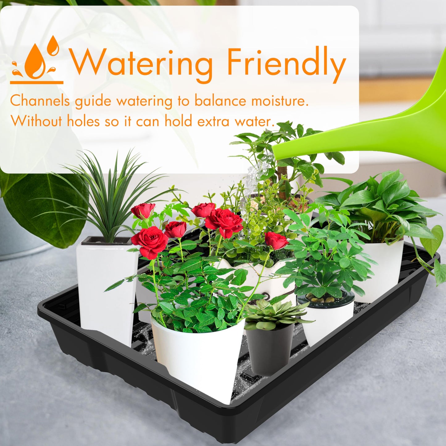 Gardzen 10 Pack Seed Trays, Reusable Plant Grow Trays, Ideal for Seed Starting, Microgreens, Indoor Gardening, and Greenhouse Nurseries - No Drain Holes, 15.7" x 11.6"