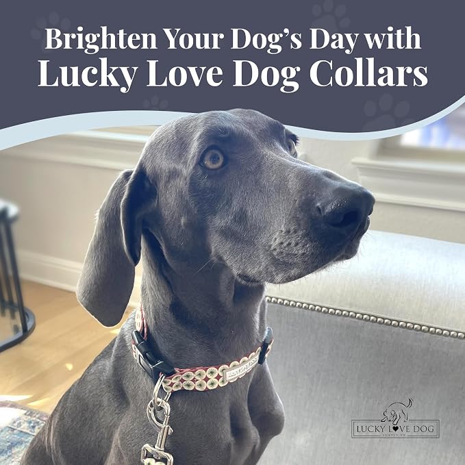 Lucky Love Dog - Easy Click Buckle Dog Collar with Leash Set Combo, Durable & Comfortable for Male & Female Dogs, Pet Collar for Medium Dogs, Secure Fit - Pongo Combo, Medium