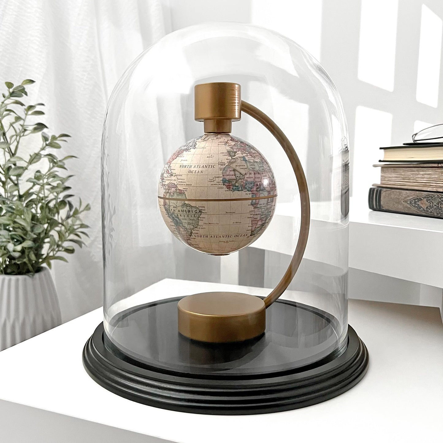Plymor 8" x 10.25" Glass Display Dome Cloche (Black Wood Veneer Base)