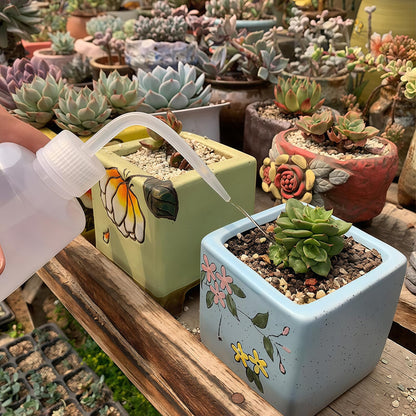 2-Pack 1000ml/34oz Clear Plastic Squeeze Tattoo Bottle with Scaled Narrow Mouth, Lab Squeeze Wash Bottle,Watering Tool for Gardening & Lab Succulent Watering