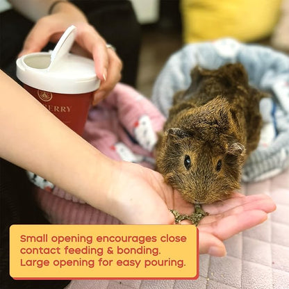 GuineaDad Organic Guinea Pig Herbal Treats - Guinea Pig Food with Convenient Packaging - Raspberry Leaf Flavor - 16 fl. oz - Guinea Pig Treats Help with Bonding - High in Nutrition and Fiber - Large