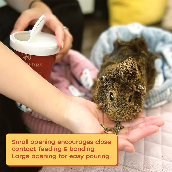 GuineaDad Organic Guinea Pig Herbal Treats - Guinea Pig Food with Convenient Packaging - Raspberry Leaf Flavor - 10 fl. oz - Guinea Pig Treats Help with Bonding - High in Nutrition and Fiber- Small