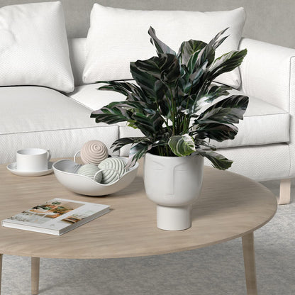 Planters for Indoor Plants - Tall 7 Inch Ceramic Self Watering Pots Matte White Plant Pot with Drainage & Inner Pot Face Vase Or Head Planter Unique Face Pots for Plants. Medium 5.5 Inch Wide