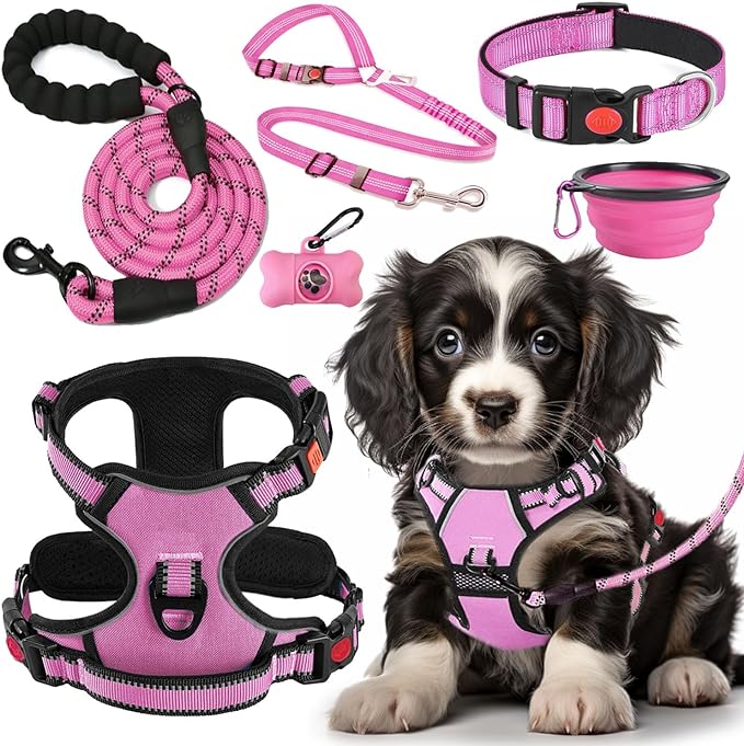 LOBEVE No Pull Dog Harness, Collar & Leash Set | Includes Dog Seat Belt, Collapsible Bowls & Poop Bag Dispenser. Ideal for Training, Walking, Hiking. Fits Small to Large Dogs(Pink-M)