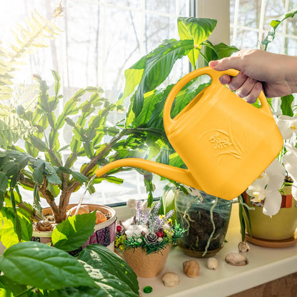 ZXJ Plant Watering Can - for Indoor and Outdoor Home Garden Plants - with Long Spout - Orange - 1/2 Gallon