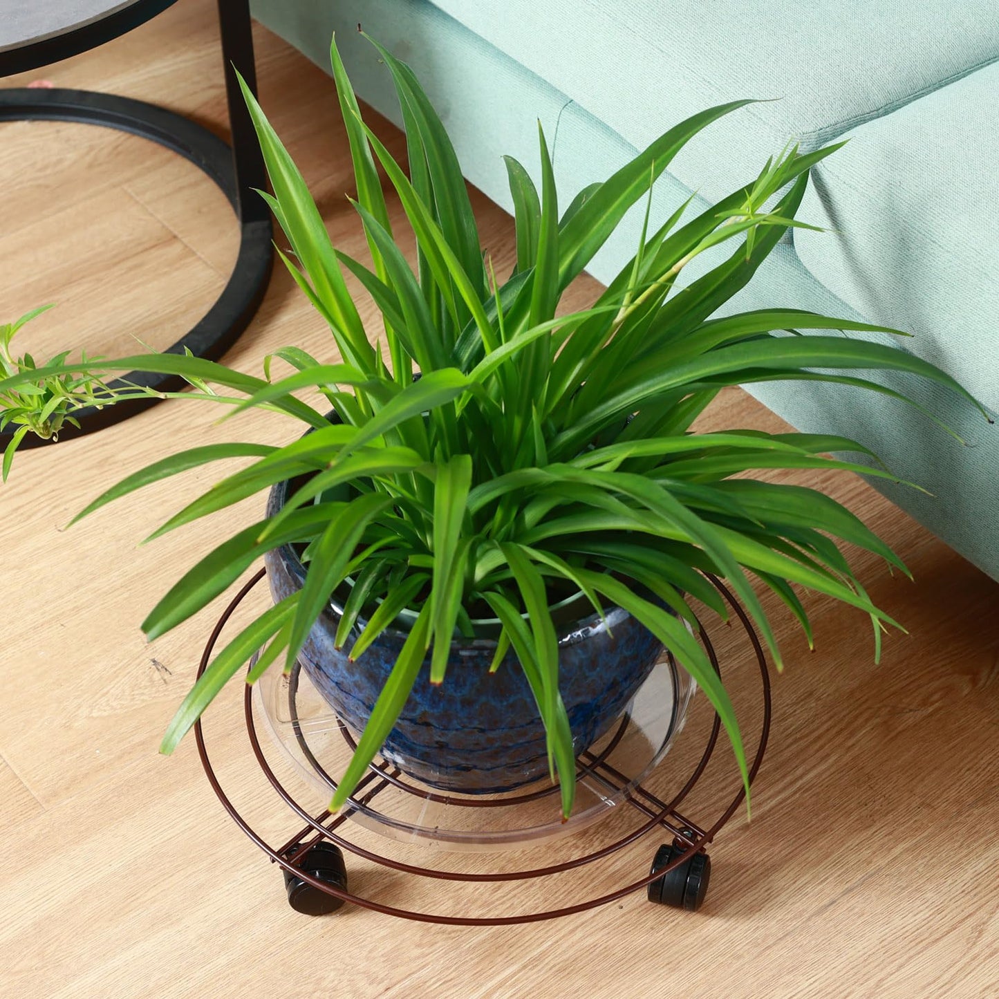 KvyusFlourish 6 Packs Large Metal Plant Caddy with Wheels 13" Rolling Plant Stands Heavy-duty Wrought Iron Plant Roller Base Pot Movers Plant Saucer on Wheels Bronze