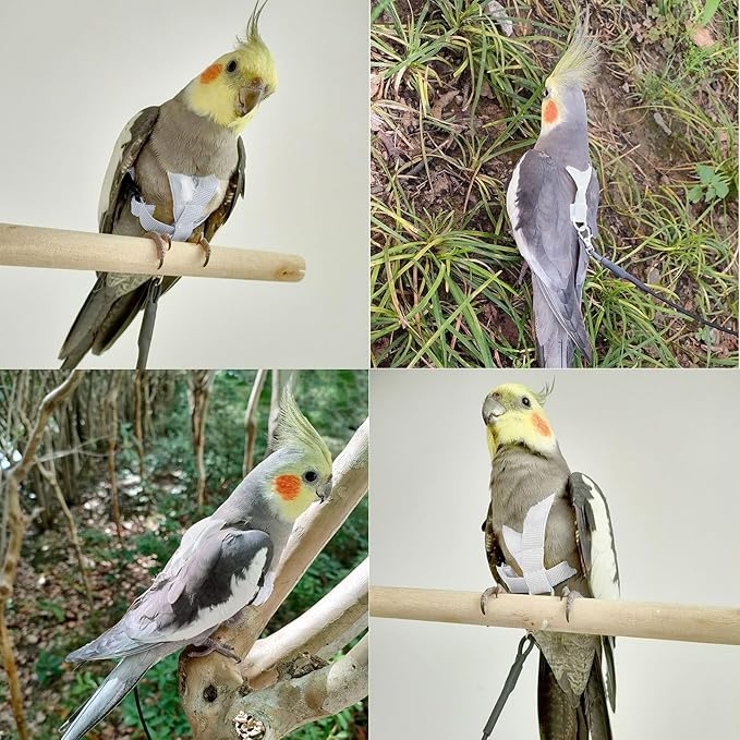 VANFAVORI Bird Harness with Buckle Clip and A Leash, Outdoor Flying Kit for Bird Parrots Cockatiel S Size Weight 85-105 Grams, White