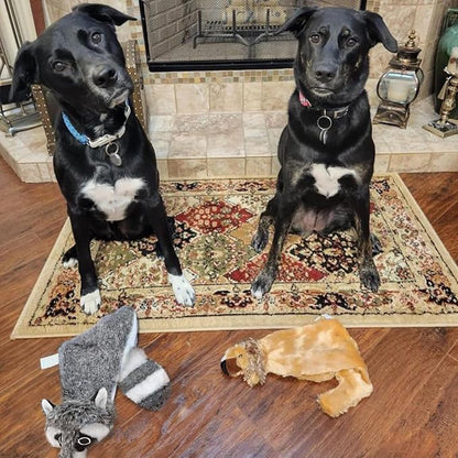 Best Pet Supplies Squeaky Dog Toys with Soft Durable Fabric for Small, Medium and Large Pets Interactive Toy for Indoor Play, Supports Active Biting and Play - Fox, Raccoon, Medium
