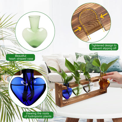 CYZglass Plant Propagation Stations Heart Plant Terrarium Kit Gift for Women Plant Lover Glass Vases
