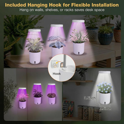 Raygrov Self-Watering Planter with Grow Light, Smart Indoor Pot for Venus Fly Trap, Carnivorous Plants, African Violet, Cat Grass, Catnip & Herbs, 2-in-1 Wall + Desktop, USB 5W Full Spectrum LED