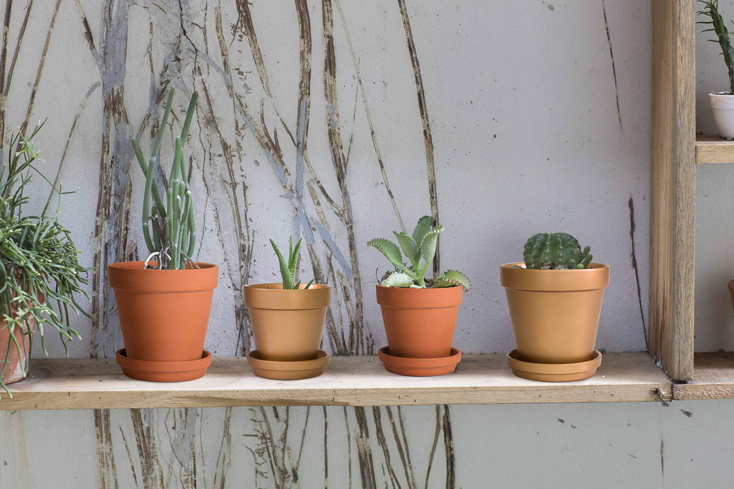 D'vine Dev Set of 4 Small Clay Planters, 3 Inch 4.5 Inch 5 Inch 6 Inch Terracotta Plant Pots with Drainage Hole and Saucers for Indoor Plants, 588-57-1