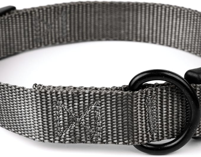 Country Brook Petz - Everyday Nylon Dog Collar and Leash - 10+ Cool Colors (3/4 Inch, Medium, Charcoal)