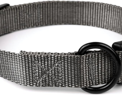 Country Brook Petz - Everyday Nylon Dog Collar and Leash - 10+ Cool Colors (3/4 Inch, Small, Charcoal)