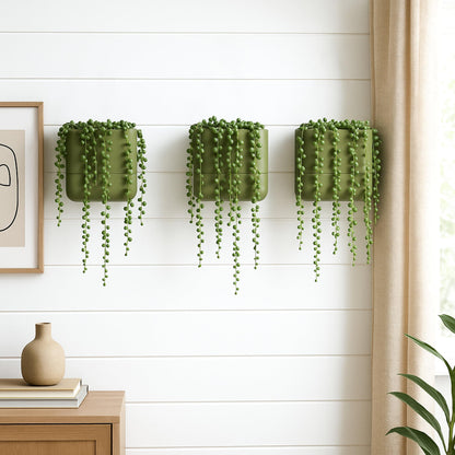 Phoenix Vine 6.5 Inch Wall Mounted Self-Watering Planter Pot for Indoor Houseplants and Herbs | Hanging Planter for Window Sills, Bathroom Walls, Home & Office Décor, Olive, Set of 3, 01-C-F-3