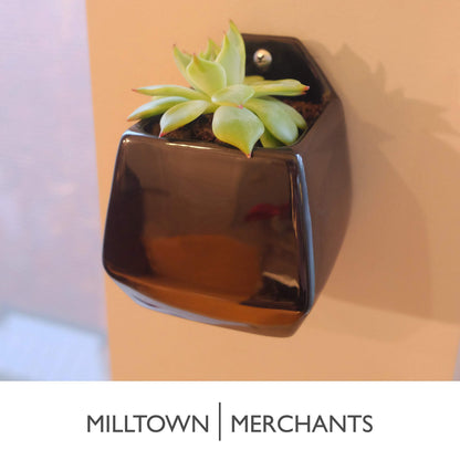 Milltown Merchants Succulent Wall Planters - Wall Vases - Black Ceramic Wall Mounted Planters - Succulent Plant Pots - Hanging Vases for Living Wall (2 Pack/Contemporary/Black)