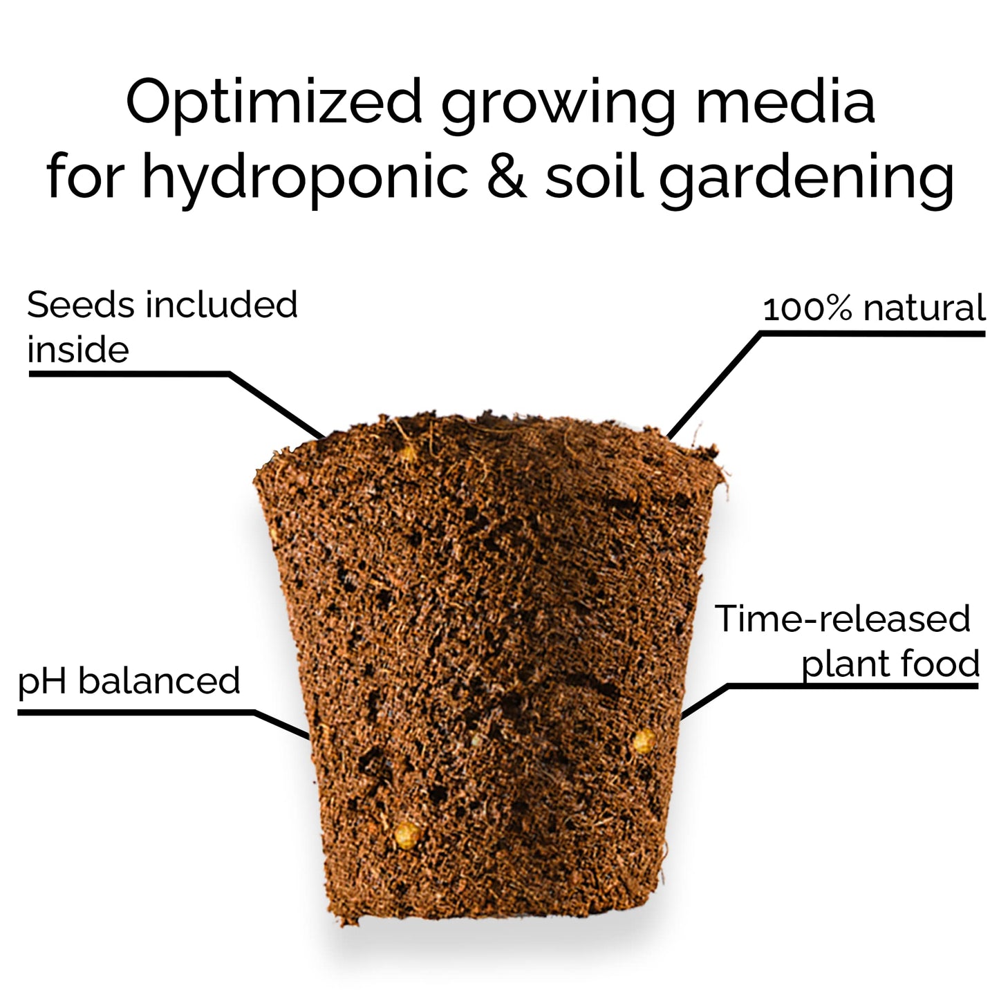 Genovese Basil - Complete Seed Pod Plugs with Plant Food - 10 Pods for Hyrdoponic Gardens, Click and Grow, Lettuce Grow and Outdoor Gardens